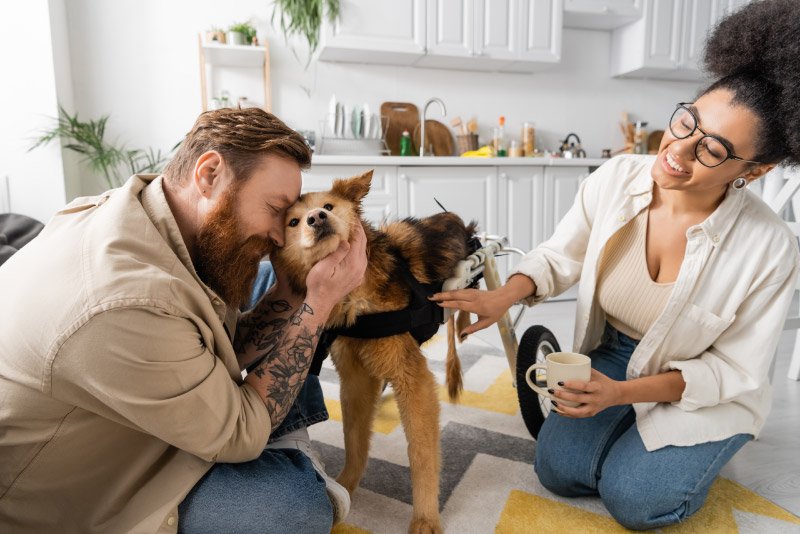 Be Special: Adopt a Dog with Special Needs